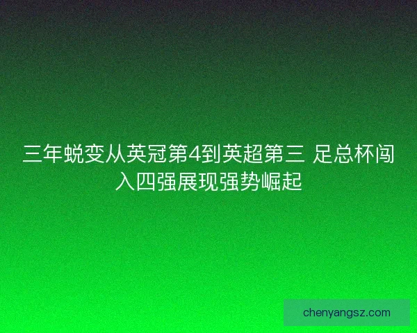 三年蜕变从英冠第4到英超第三 足总杯闯入四强展现强势崛起