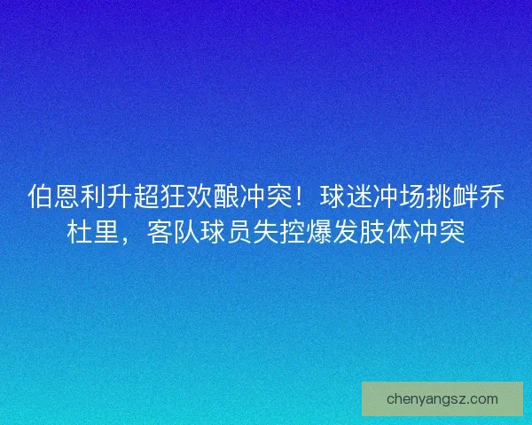 伯恩利升超狂欢酿冲突！球迷冲场挑衅乔杜里，客队球员失控爆发肢体冲突