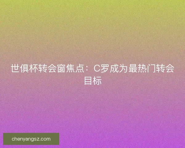 世俱杯转会窗焦点:C罗成为最热门转会目标 世俱杯转会窗焦点:C罗成为最热门转会目标