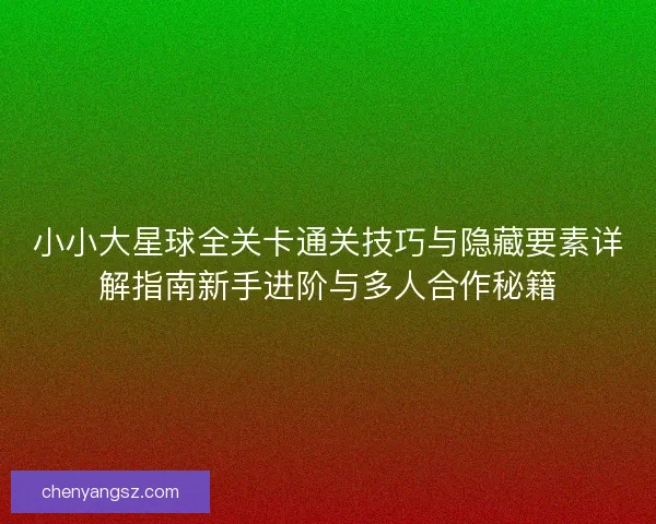 小小大星球全关卡通关技巧与隐藏要素详解指南新手进阶与多人合作秘籍