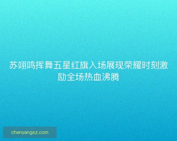 苏翊鸣挥舞五星红旗入场展现荣耀时刻激励全场热血沸腾