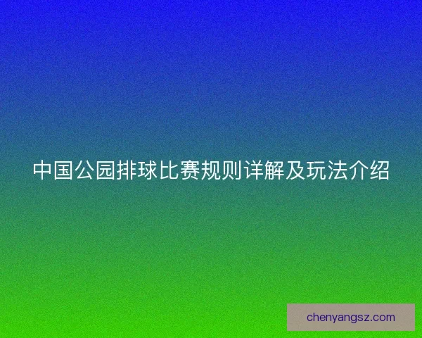 中国公园排球比赛规则详解及玩法介绍