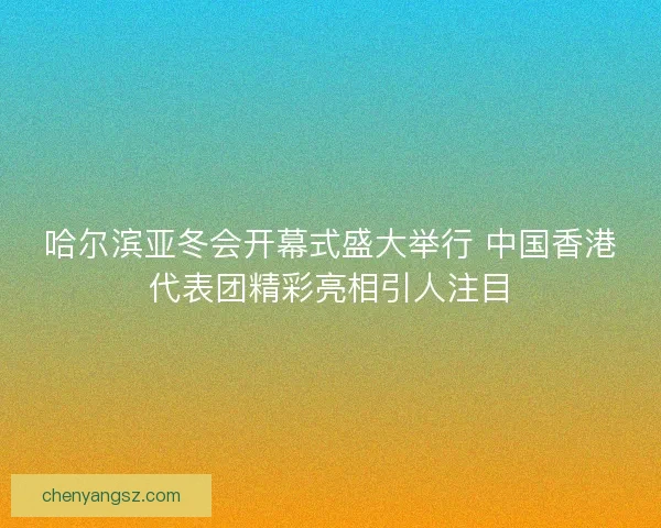 哈尔滨亚冬会开幕式盛大举行 中国香港代表团精彩亮相引人注目